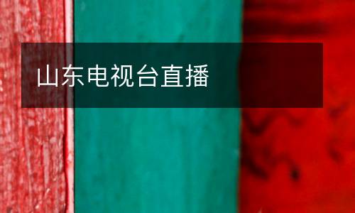 山東電視臺直播