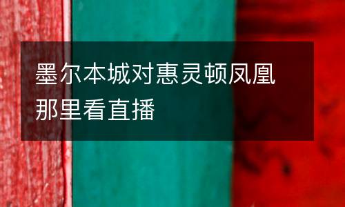 墨爾本城對惠靈頓鳳凰那里看直播