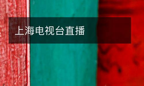 上海電視臺直播