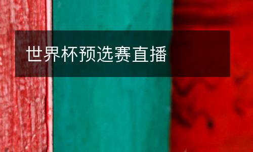 世界杯預(yù)選賽直播