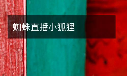 蜘蛛直播小狐貍