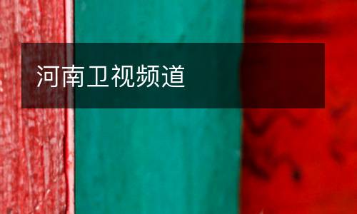 河南衛(wèi)視頻道