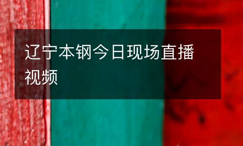 遼寧本鋼今日現(xiàn)場直播視頻